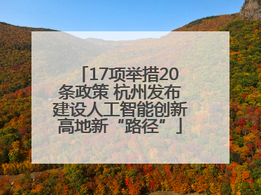 17项举措20条政策 杭州发布建设人工智能创新高地新“路径”