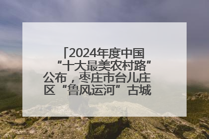 2024年度中国“十大最美农村路”公布，枣庄市台儿庄区“鲁风运河”古城文化廊道上榜！