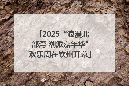 2025“浪漫北部湾 潮派嘉年华”欢乐周在钦州开幕