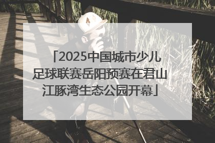 2025中国城市少儿足球联赛岳阳预赛在君山江豚湾生态公园开幕