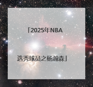 2025年NBA选秀球员之杨瀚森