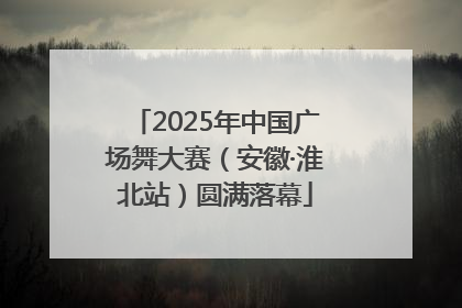 2025年中国广场舞大赛（安徽·淮北站）圆满落幕