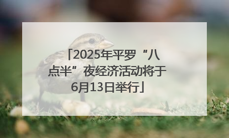 2025年平罗“八点半”夜经济活动将于6月13日举行