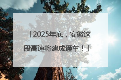 2025年底，安徽这段高速将建成通车！