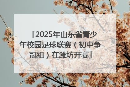 2025年山东省青少年校园足球联赛（初中争冠组）在潍坊开赛