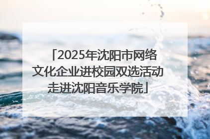 2025年沈阳市网络文化企业进校园双选活动走进沈阳音乐学院