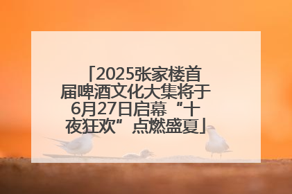 2025张家楼首届啤酒文化大集将于6月27日启幕“十夜狂欢”点燃盛夏