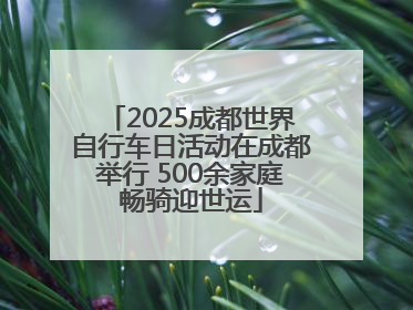 2025成都世界自行车日活动在成都举行 500余家庭畅骑迎世运
