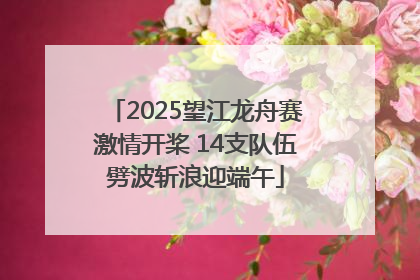 2025望江龙舟赛激情开桨 14支队伍劈波斩浪迎端午