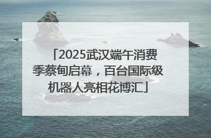 2025武汉端午消费季蔡甸启幕，百台国际级机器人亮相花博汇