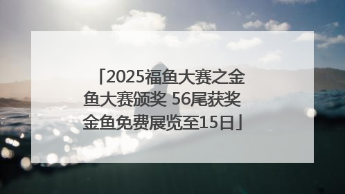 2025福鱼大赛之金鱼大赛颁奖 56尾获奖金鱼免费展览至15日