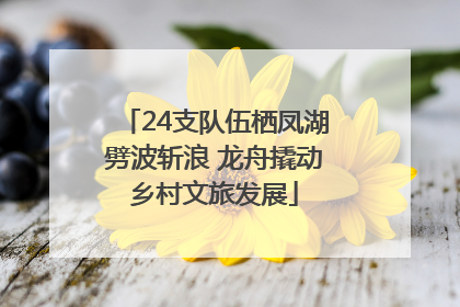24支队伍栖凤湖劈波斩浪 龙舟撬动乡村文旅发展