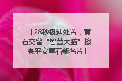 28秒极速处置，黄石交警“智慧大脑”擦亮平安黄石新名片
