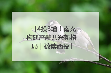 4投3增！南充构建产融共兴新格局｜数读西投