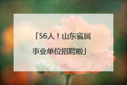 56人！山东省属事业单位招聘啦