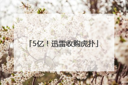 5亿！迅雷收购虎扑