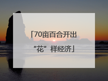 70亩百合开出“花”样经济