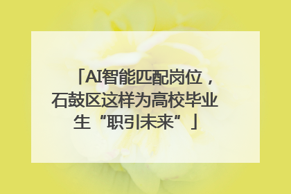 AI智能匹配岗位，石鼓区这样为高校毕业生“职引未来”