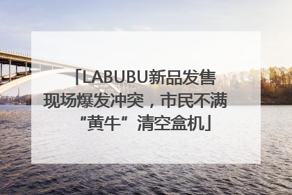 LABUBU新品发售现场爆发冲突，市民不满“黄牛”清空盒机