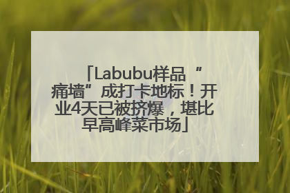 Labubu样品“痛墙”成打卡地标！开业4天已被挤爆，堪比早高峰菜市场