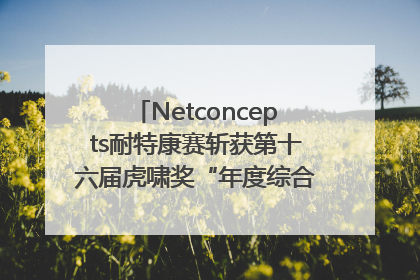 Netconcepts耐特康赛斩获第十六届虎啸奖“年度综合服务商”大奖